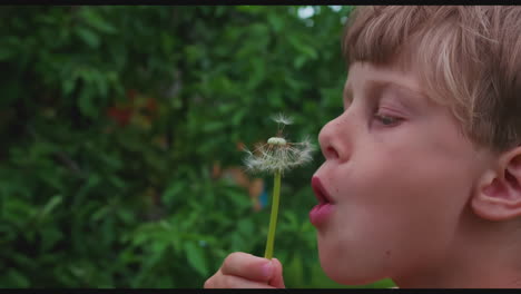 boy blowing dandelion