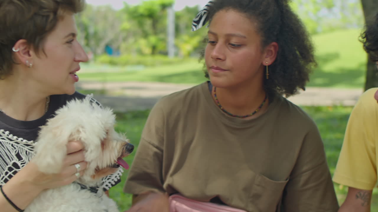 Friends Petting Dog while Chilling at Park