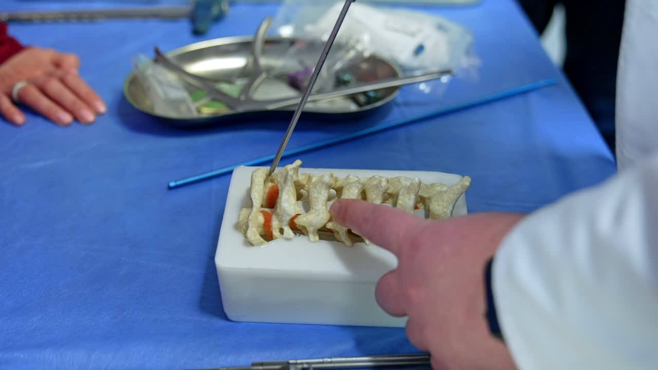 Male educator displays usage of the medical tool on the model of spine. Neurosurgery practice for students.