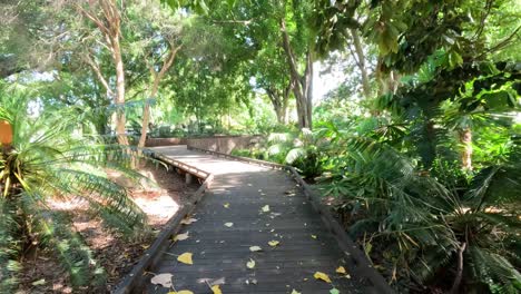 progresión a lo largo de una pasarela de madera sinuosa en el bosque