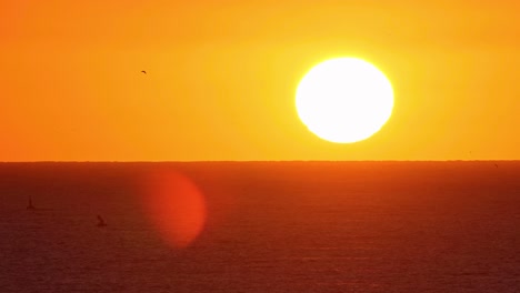 slow motion: bird flying above ocean horizon at golden sunset