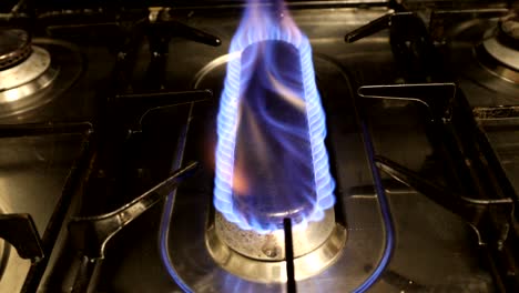 burning flame on a gas stove
