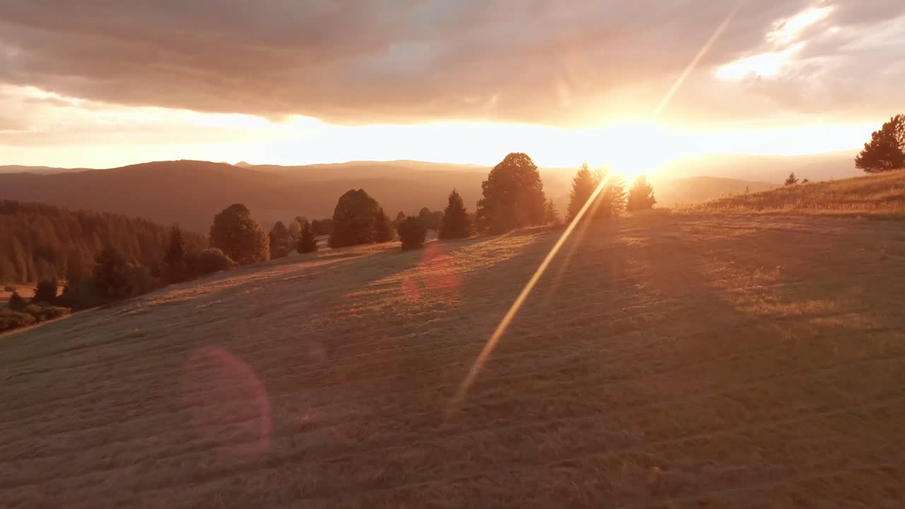 imágenes cinematográficas aéreas de un dron de carreras fpv de un prado iluminado por el sol durante una puesta de sol de verano