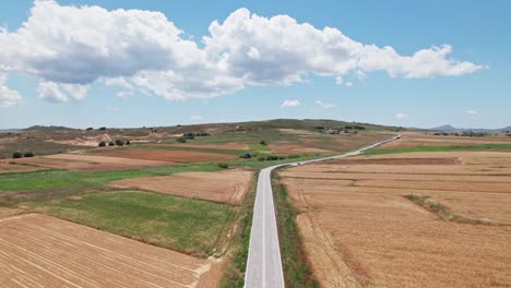 drone dolly above empty grey asphalt road between grassland farm plots