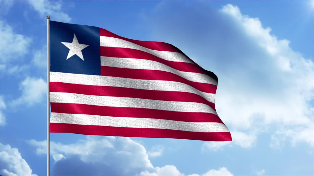 라이베리아의 발이 바람에 흔들리고 있다.