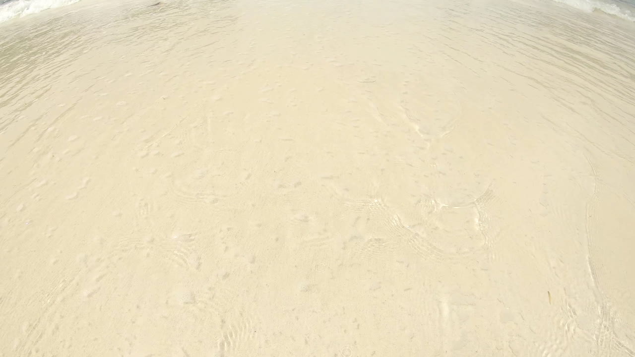 새해를  ⁇ 쓸고