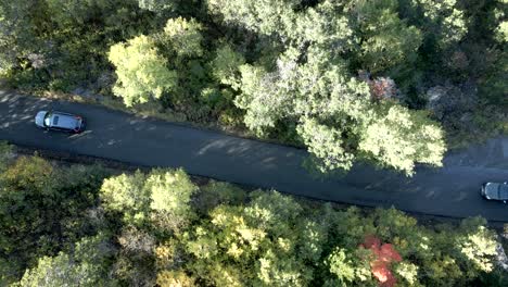 two cars driving along a forested mountain road - straight down aerial view