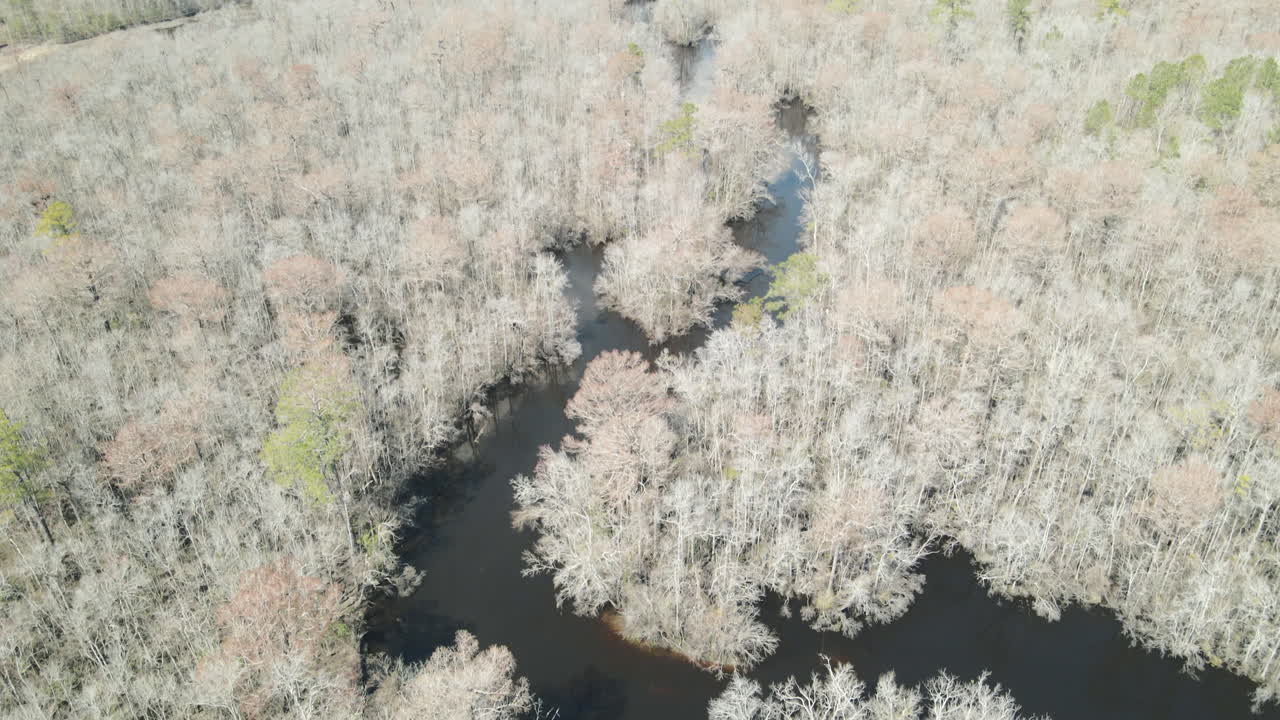노스 캐롤라이나 주 윌밍턴 의 휘어지는 수로 를 보여 주는 공중 사진