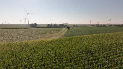 los drones agrícolas rocían productos químicos en los campos de maíz en iowa.