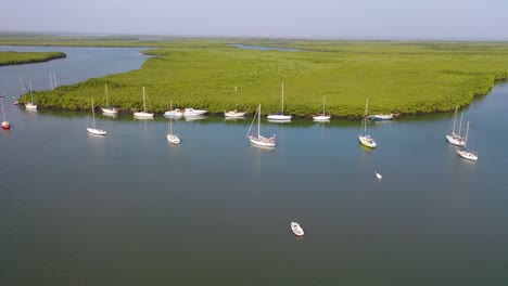 Antenne-über-Riesige-Mangrovensümpfe-Und-Boote-Auf-Dem-Gambia-Fluss-Gambia-Westafrika