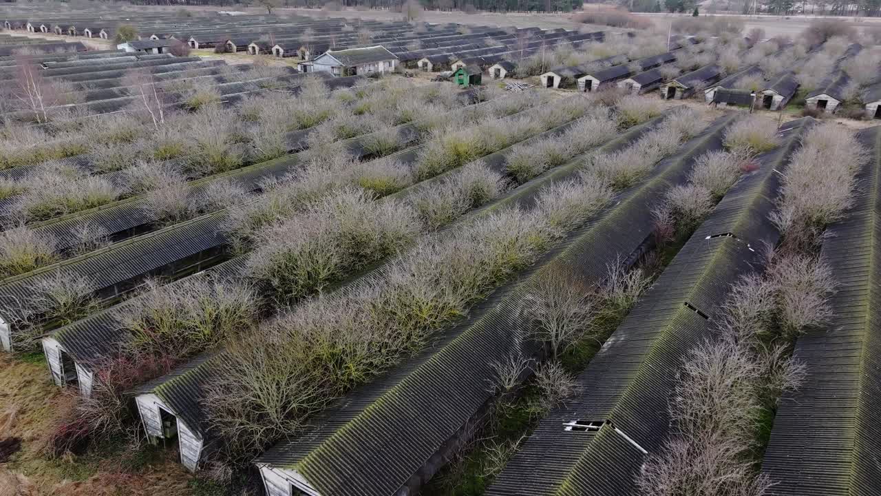 Drone moves forward above abandoned decaying animal farm buildings in Latvia