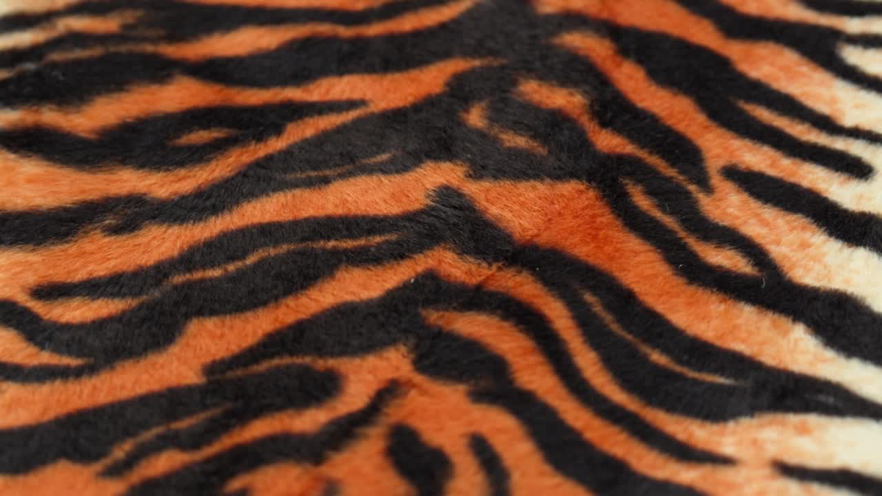 tejido de piel de tigre de primer plano. fondo de impresión de animales, textil de lana a rayas. símbolo del año 2022. hecho a mano, diseño de moda y concepto de sastrería.