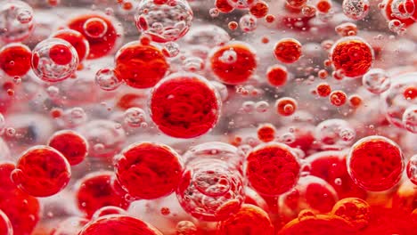 macro shot of many red bubbles moving around in water