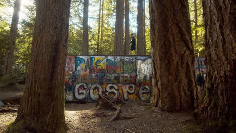 man walking on top of train wreck abandoned in the forest covered up by graffiti art