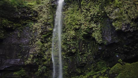 amidaga falls in countryside of gifu japan, moss cliffs panoramic view