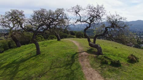 alpine meadow trails: aerial view of colorful hiking trails