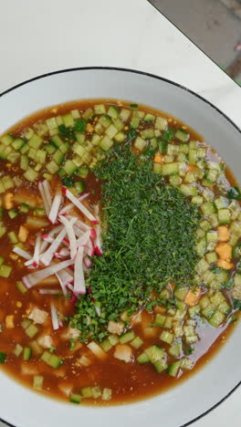 russian soups