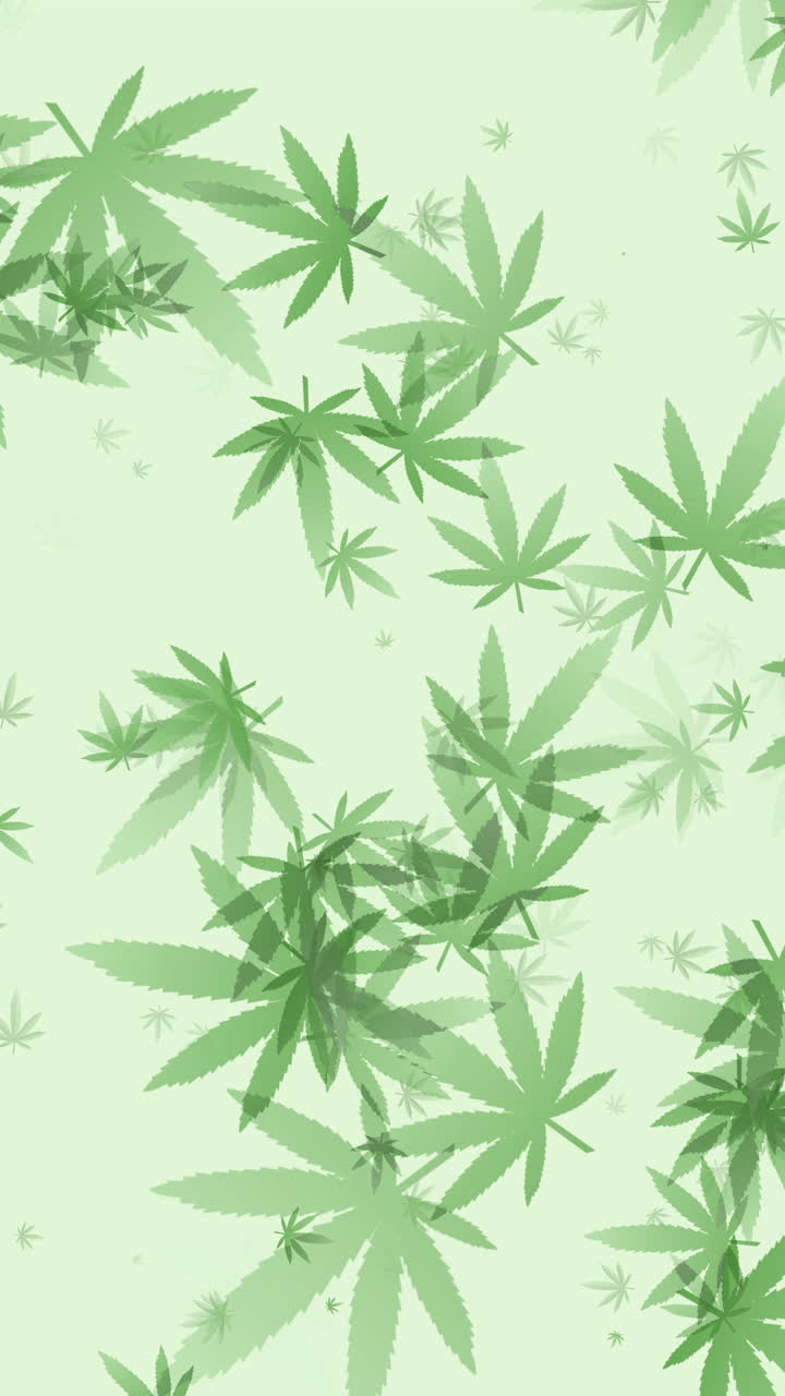 Weed pattern. Loop animation cannabis green leaf, medical legalized marijuana symbol. Vertical video.