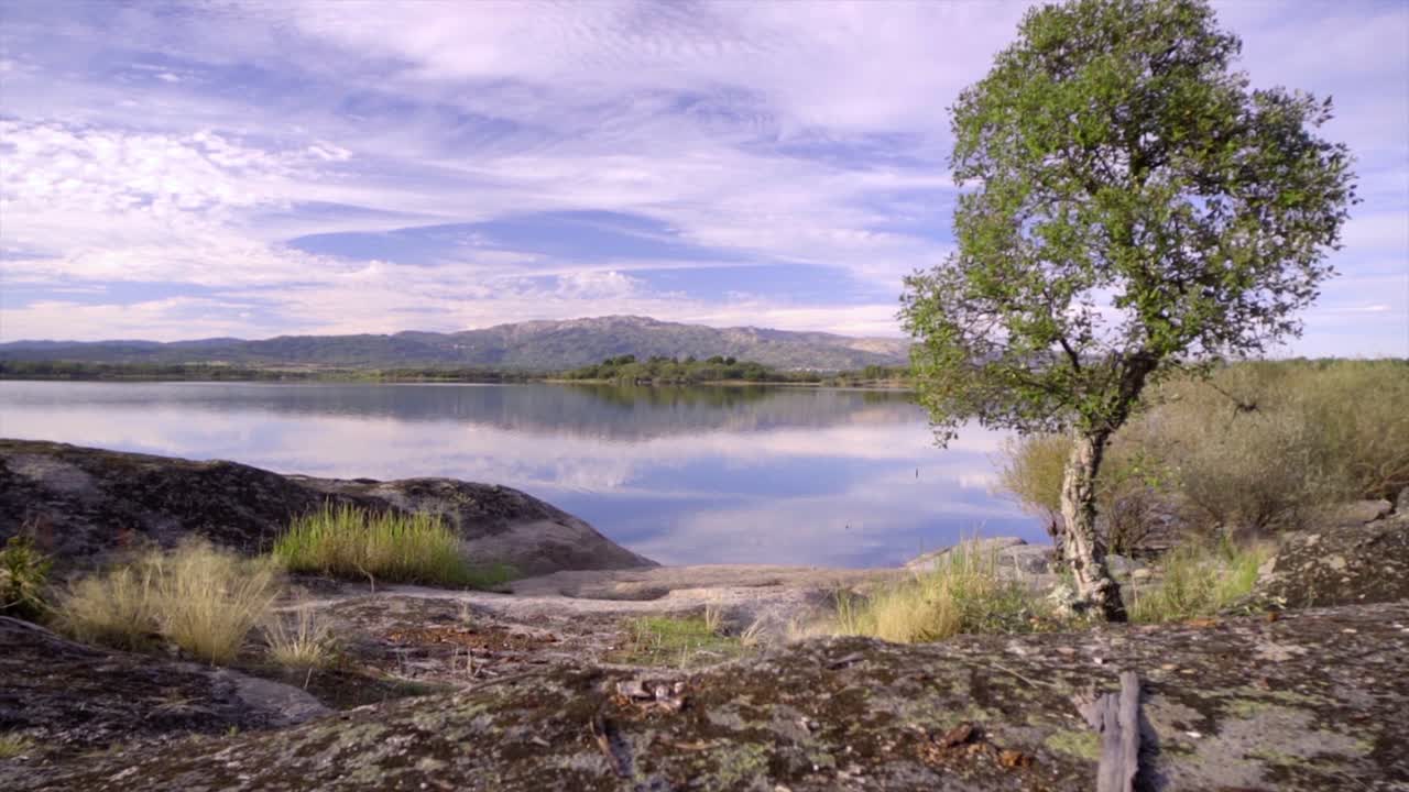 la cámara avanza para pasar un árbol y revelar el lago