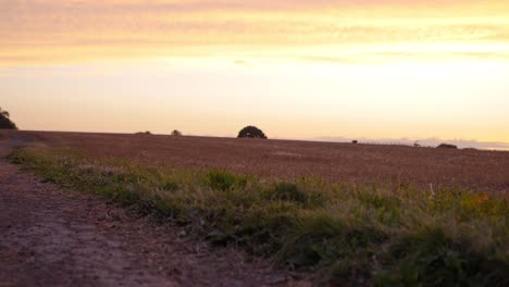 dusty dry road and farmers field in sunset landscape tilting shot