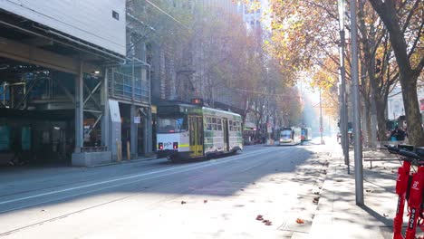 tram travels down a sunlit melbourne street