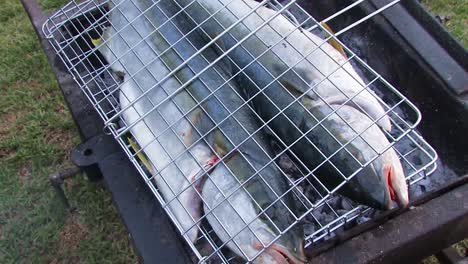 pescado a la parrilla o barbacoa