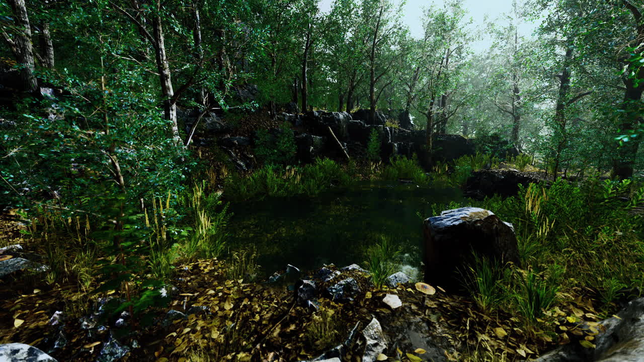 entorno forestal tranquilo con un estanque sereno rodeado de vegetación exuberante