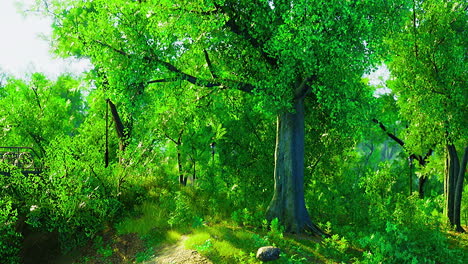 lush green forest with vibrant foliage and sunlight filtering through trees