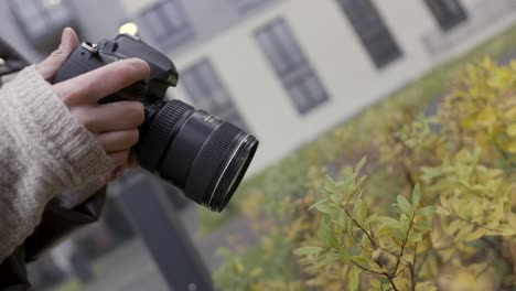 person taking photo of autumn leaves