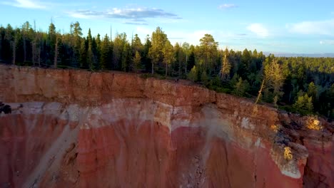 Mountain-Forest-Cliff-side-flyaway,-with-Dog