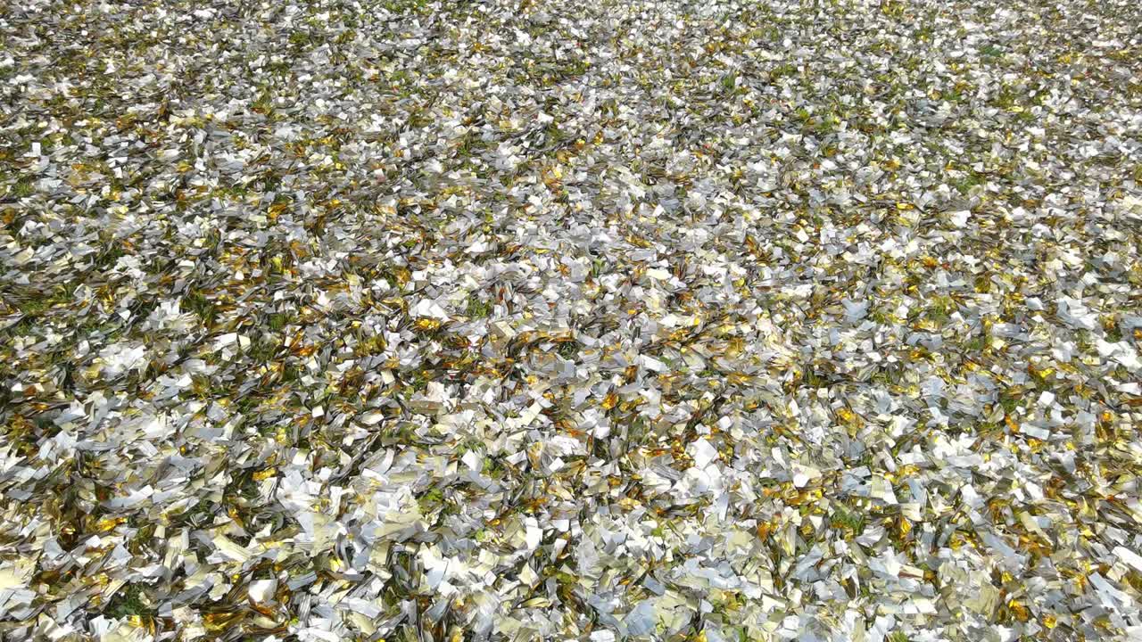 luxury gold glitter sparkle shining on the floor, festival and celebration background concept , 4K Dci resolution.