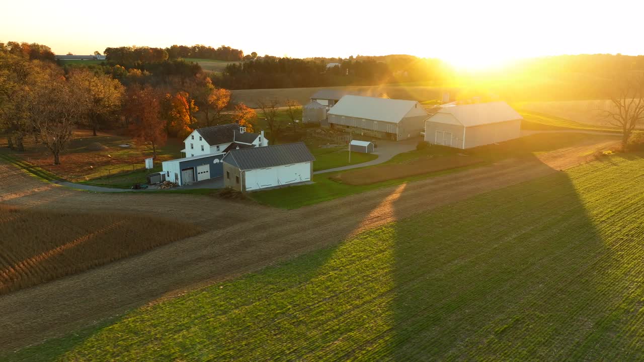 Warm golden hour sunlight at family farm in USA
