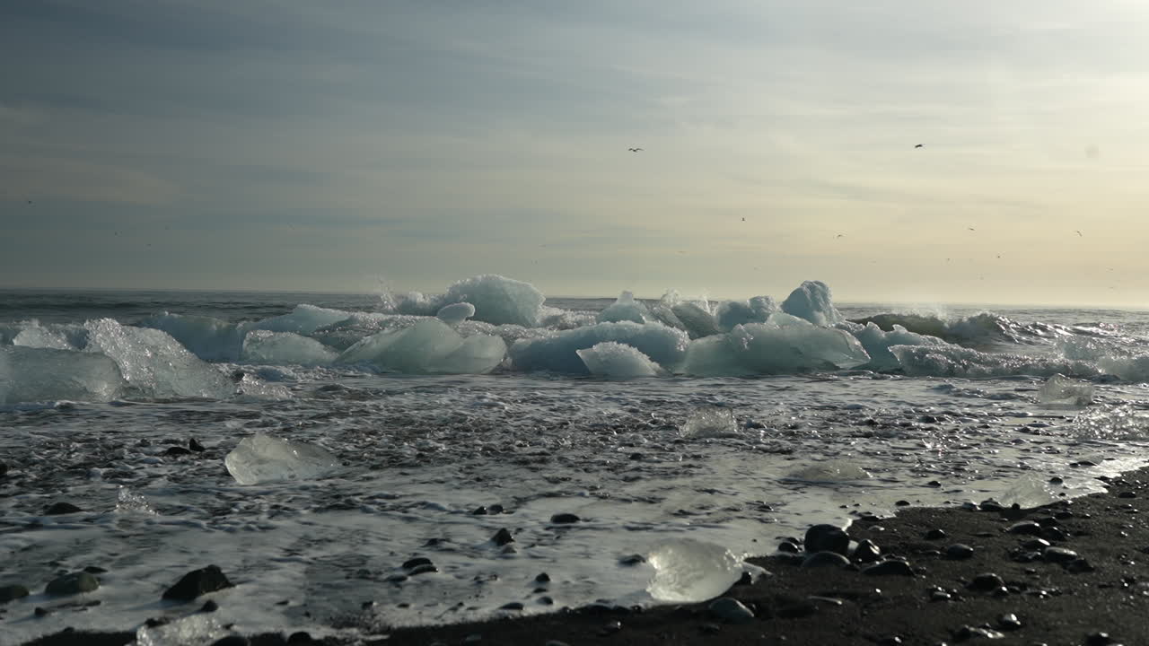 Glacial ice scattered along black sand shore with soft ocean waves at Diamond Beach, Iceland, at sunset