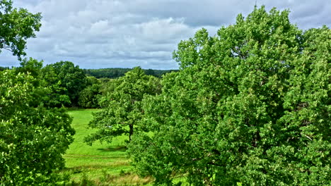 aerial view of trees on meadow with houses and forest in the background, saaremaa estonia - boom shot