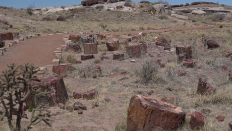 Petrified-Logs-and-Hiking-Trail-in-Petrified-National-Forest-National-Park,-Arizona-USA,-Full-Frame