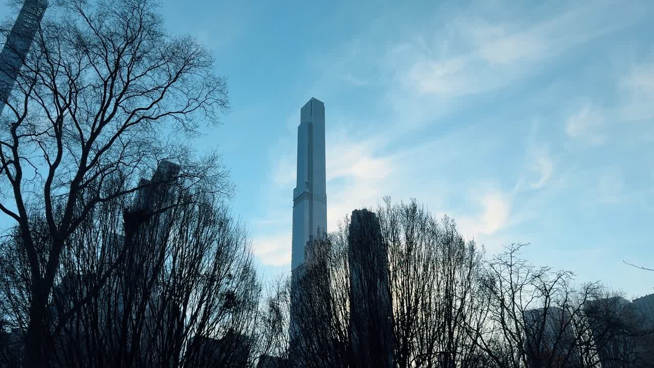 Silhouette di alberi davanti a un moderno grattacielo di Manhattan. Rami spogli di alberi invernali incorniciati contro un cielo blu chiaro e un altissimo grattacielo moderno a New York City.