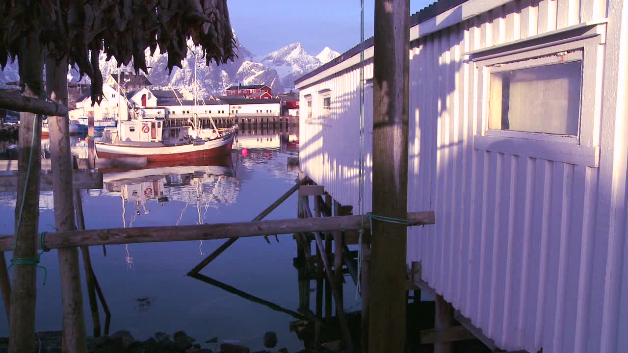 물고기는 노르웨이 로포텐 섬의 나무 선반에 걸려 말리고 있으며 배경 2에는 어선이 있습니다.