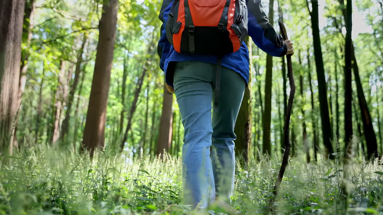 Giovane escursionista con zaino in spalla e abbigliamento da trekking che cammina da sola lungo il sentiero nella foresta e il ruscello della giungla, ammirando il lussureggiante paesaggio verde del canyon e godendosi una tranquilla avventura di viaggio nella natura.