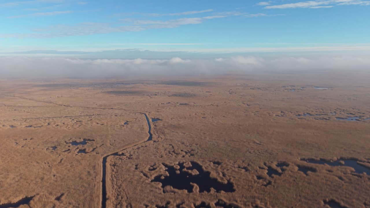 An expansive aerial view of a golden marshland stretching to the horizon under a clear blue sky. A narrow water channel cuts through the wetland, surrounded by scattered pools and textured vegetation