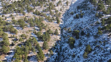 Erster-Schnee-Auf-Dem-Berg