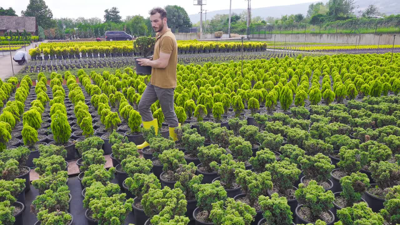 joven jardinero que trabaja en el invernadero donde se cultivan flores.