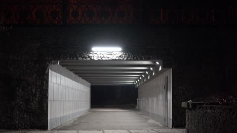 empty pedestrian underpass tunnel passage under the bridge at night.