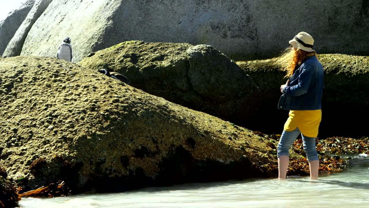 ⁇ 의 사진을 찍는 여자 휴대폰 4k