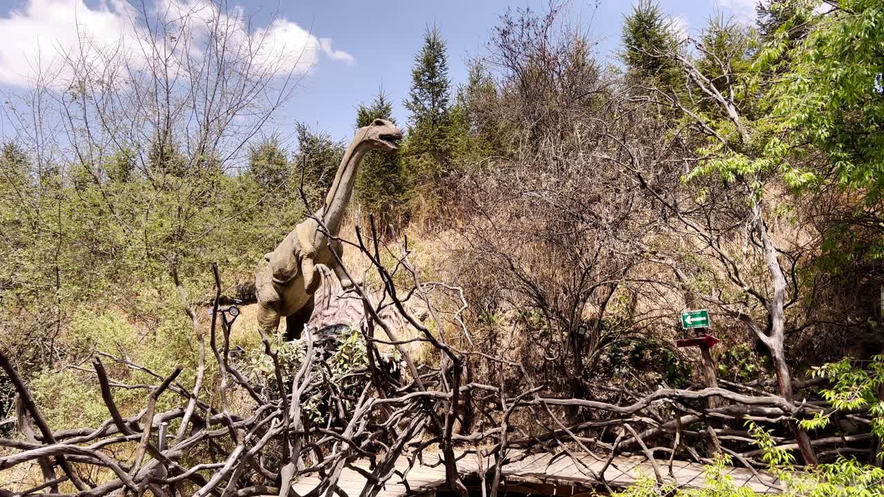 Large brachiosaurus model standing in a natural environment in Morelos, Mexico, surrounded by dry branches and trees, offering a glimpse into prehistoric times