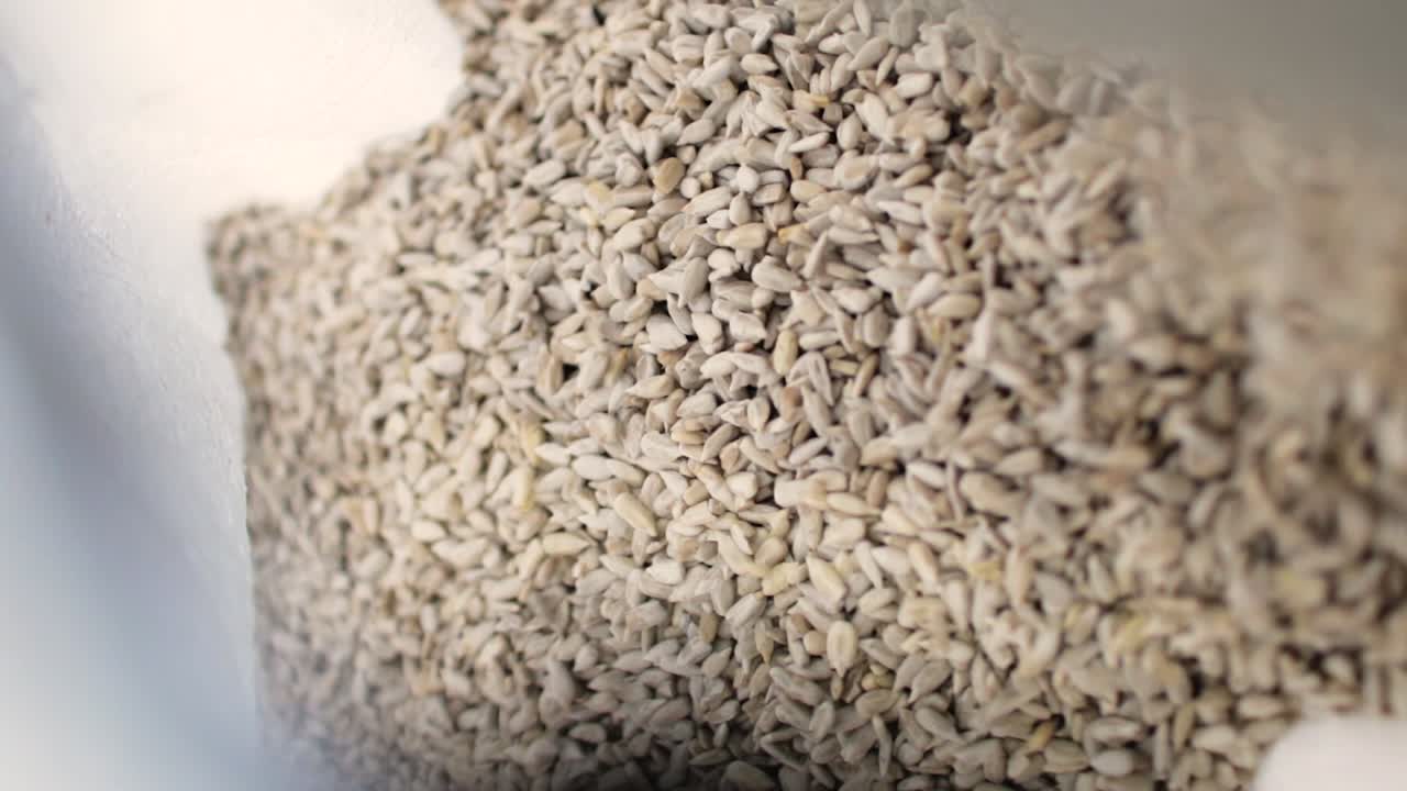 공장 컨베이어 에 있는 꽃 씨