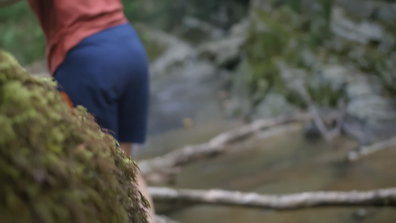 숲 속 의 하천 에서 산책 하는 사람