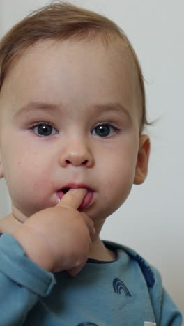 one year old toddler in blue shirt holding a finger in his mouth. cute kid stands on all four and crawls up to camera. close up. vertical video
