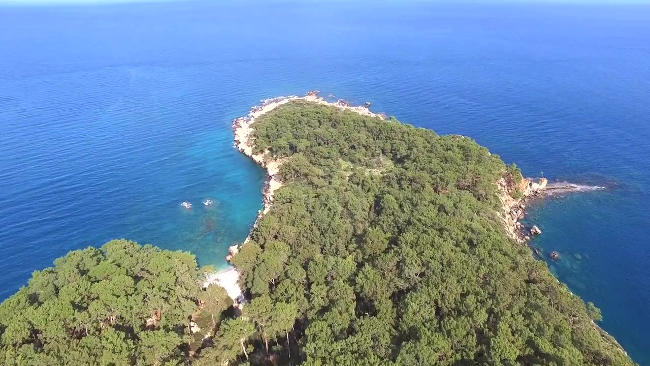 Vista aerea di una penisola boscosa che si estende nel mare blu.