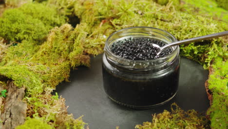 black caviar in a jar on moss