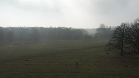 Aerial-view-of-a-misty-park-with-a-dog-walker